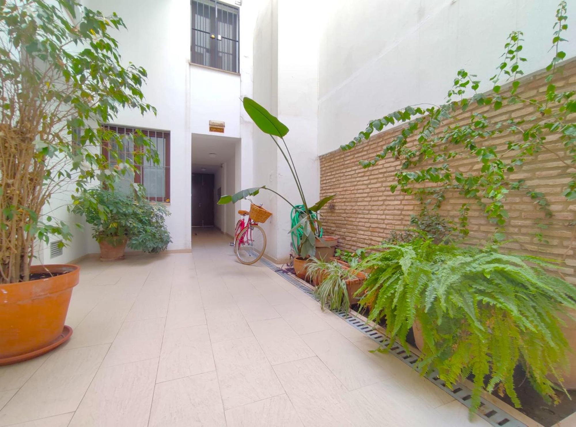 Appartement Alfaqueque *